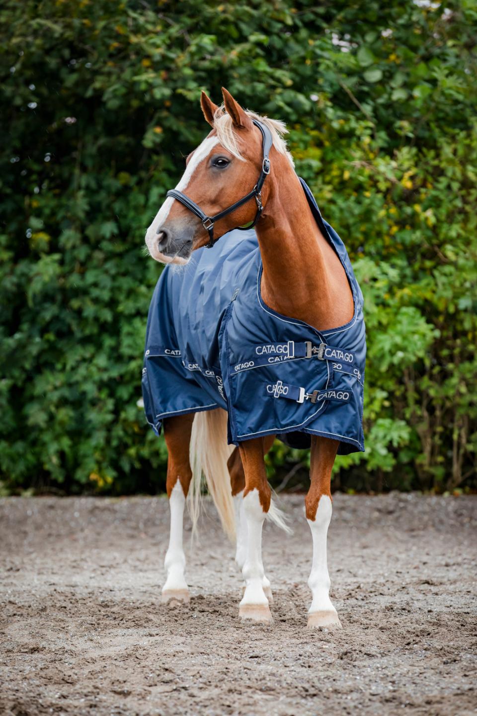 CATAGO Barlow 840D Turnout rug 300g, 165 cm