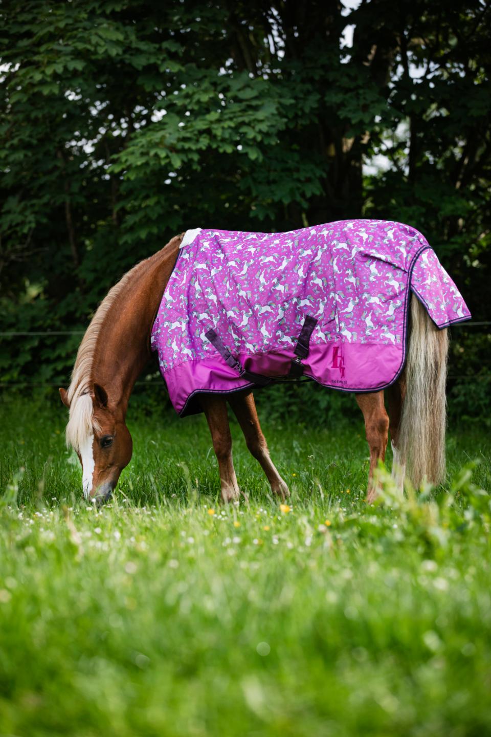HG Josh pony turnout rug 600D 0g, Phlox Pink 145