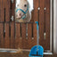 Horse Guard Malva halter "My Best Friend", Pony