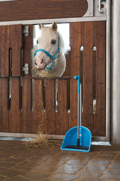Horse Guard Malva halter "My Best Friend", Pony