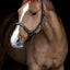 Horse Guard Sandra halter