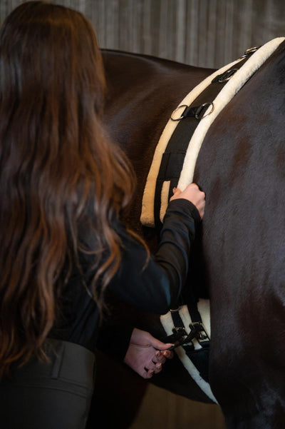 HorseGuard Longing girth with teddy, FULL