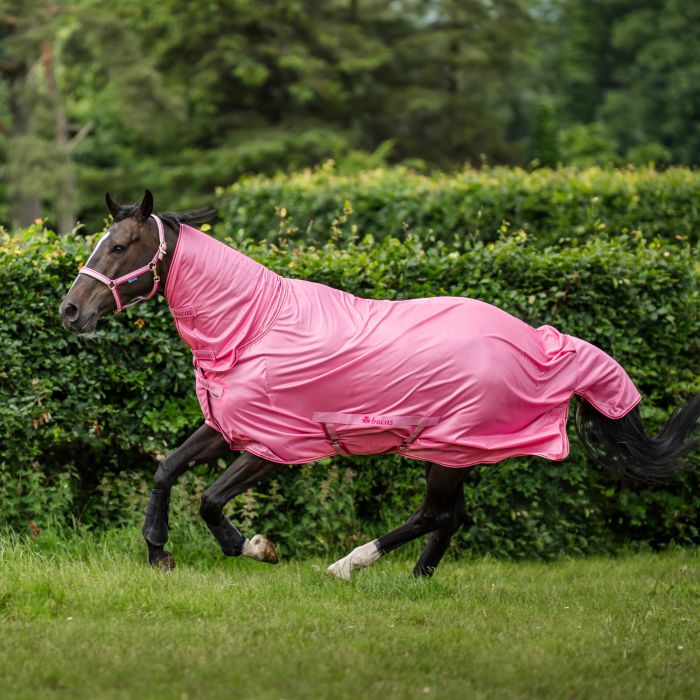 Bucas Freedom Fly Sheet, Aurora Pink