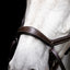 Micklem Bitless Bridle, brown, small horse