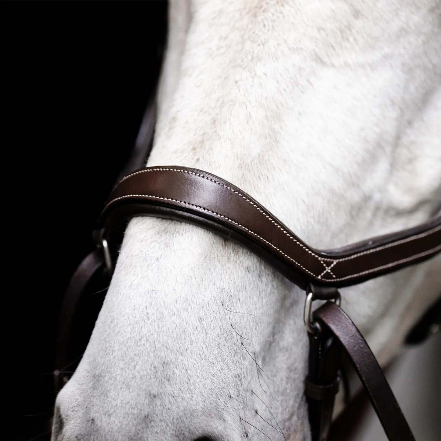 Micklem Bitless Bridle, brown, small horse