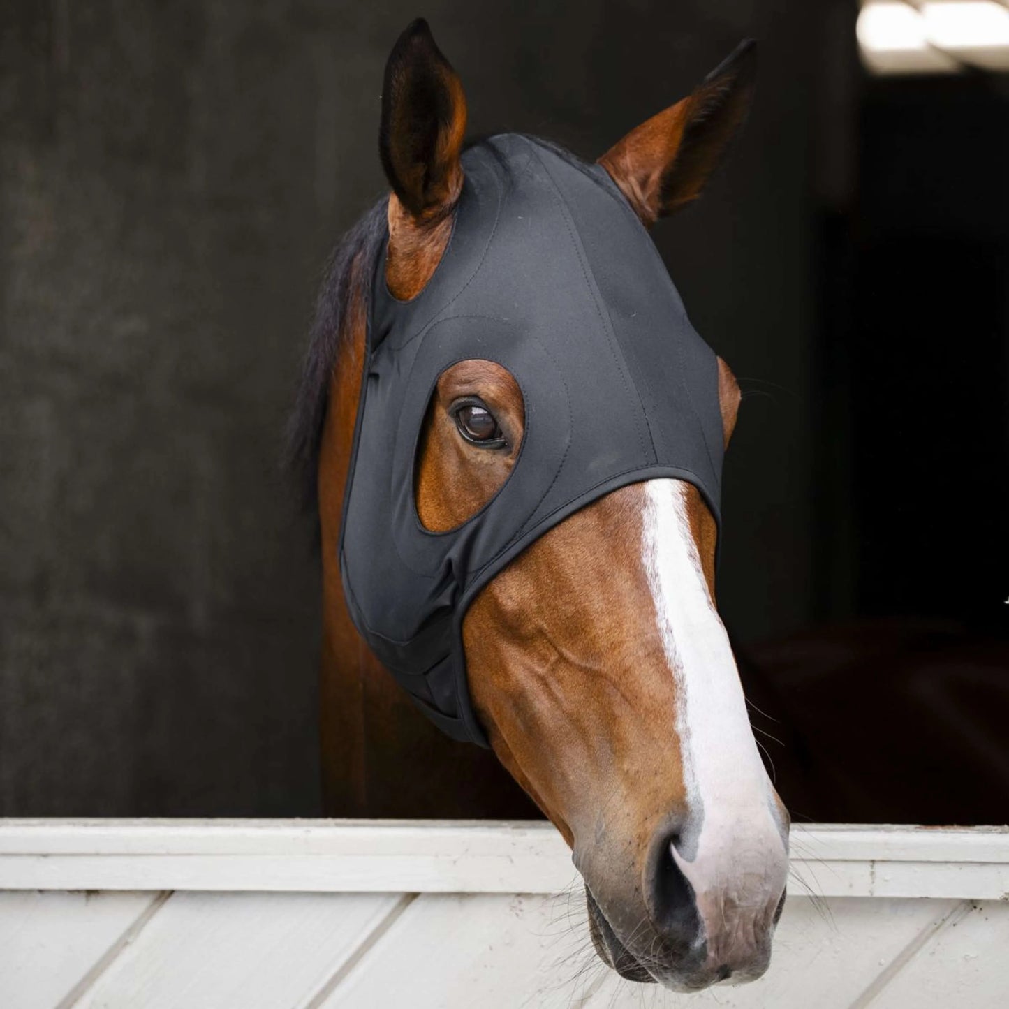 HORSEWARE IONIC CALMING FACE MASK, horse