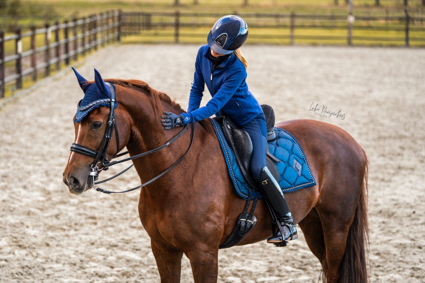 CHARMER DRESSAGE GLITTER SADDLE PAD - SAPPHIRE, FULL