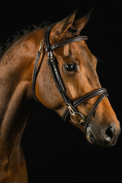 ORTEGA BRIDLE - DARK BROWN, Full