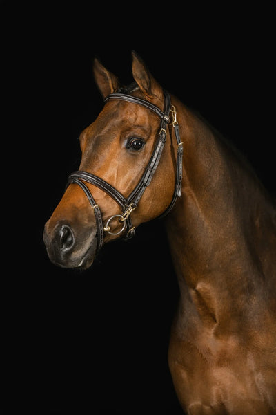 ORTEGA BRIDLE - DARK BROWN, Full