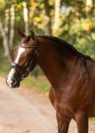 REGULAR ITALIAN LEATHER BRIDLE - ROSÉ, FULL