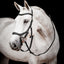 Horseware Micklem 2 Competition Bridle, BLACK, Large horse