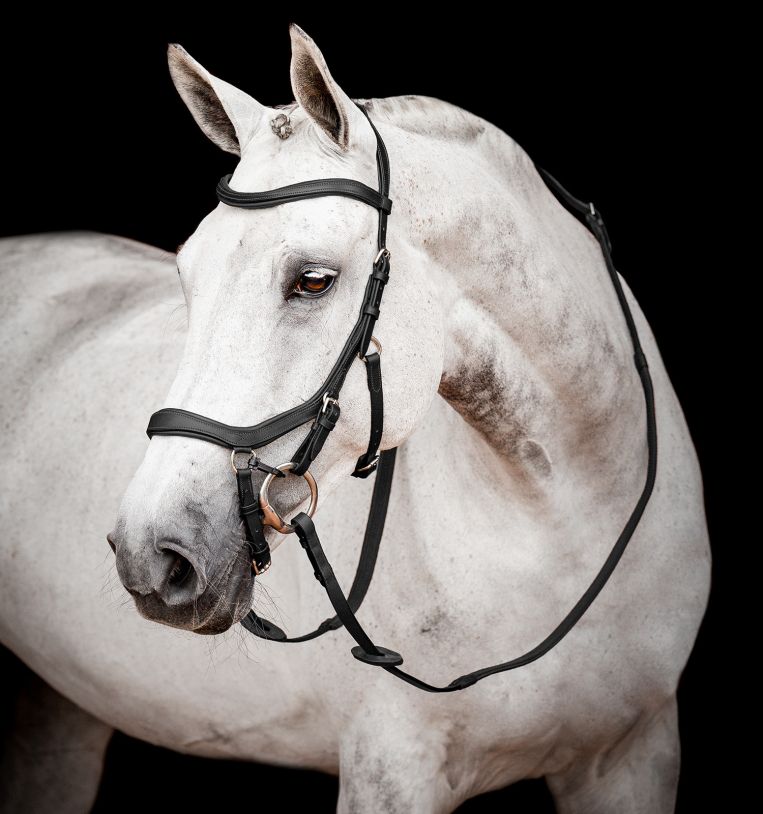 Horseware Micklem 2 Competition Bridle, BLACK, Large horse