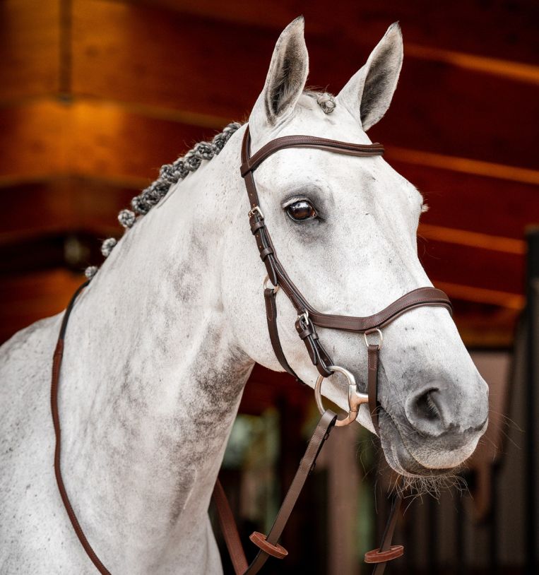 Horseware Micklem 2 Competition Bridle w/ rubber reins, PONY, Havana