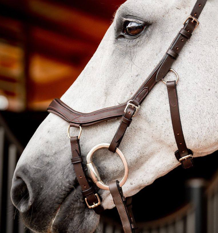 Horseware Micklem 2 Competition Bridle w/ rubber reins, PONY, Havana