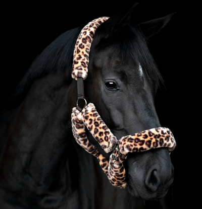 HG Leopard halter, X-FULL