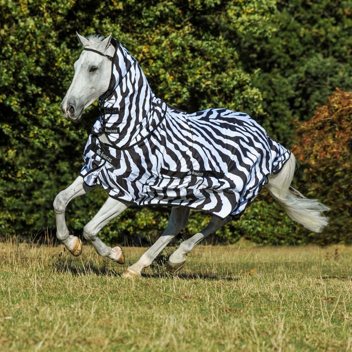 Bucas Sweet Itch Zebra