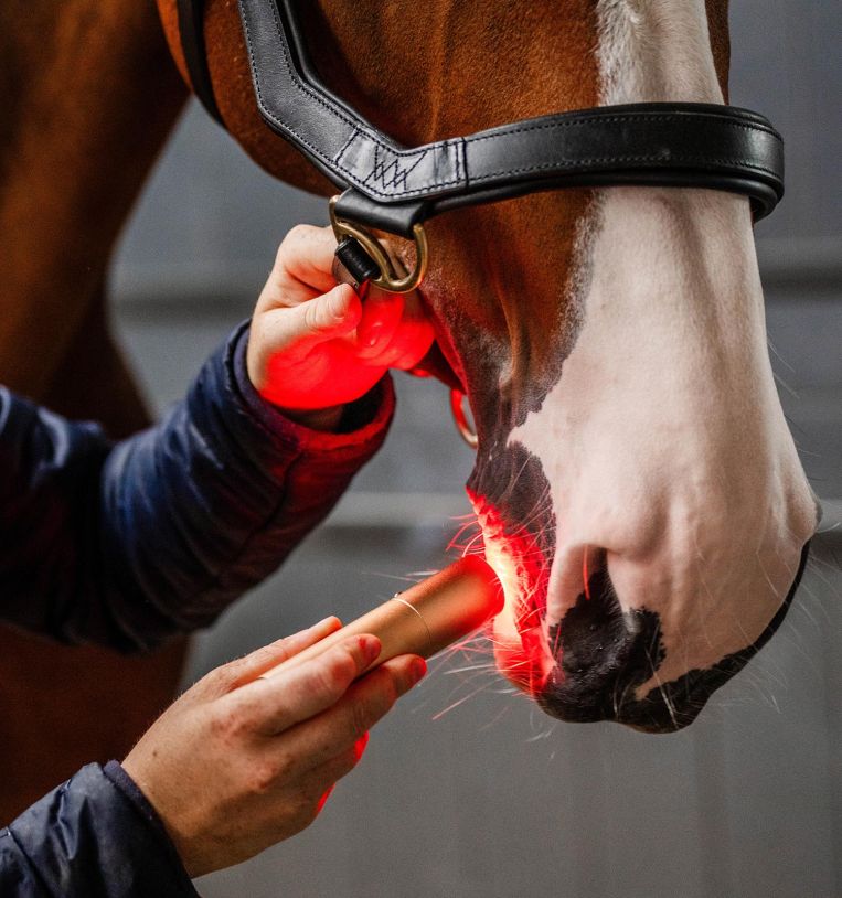 Horseware® LED Red Light Therapy Wand