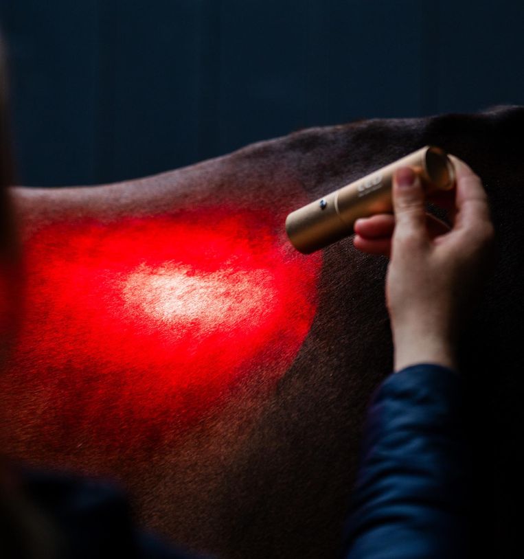 Horseware® LED Red Light Therapy Wand