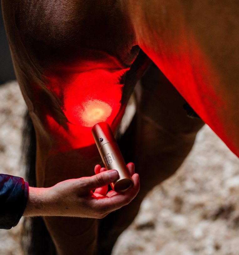 Horseware® LED Red Light Therapy Wand