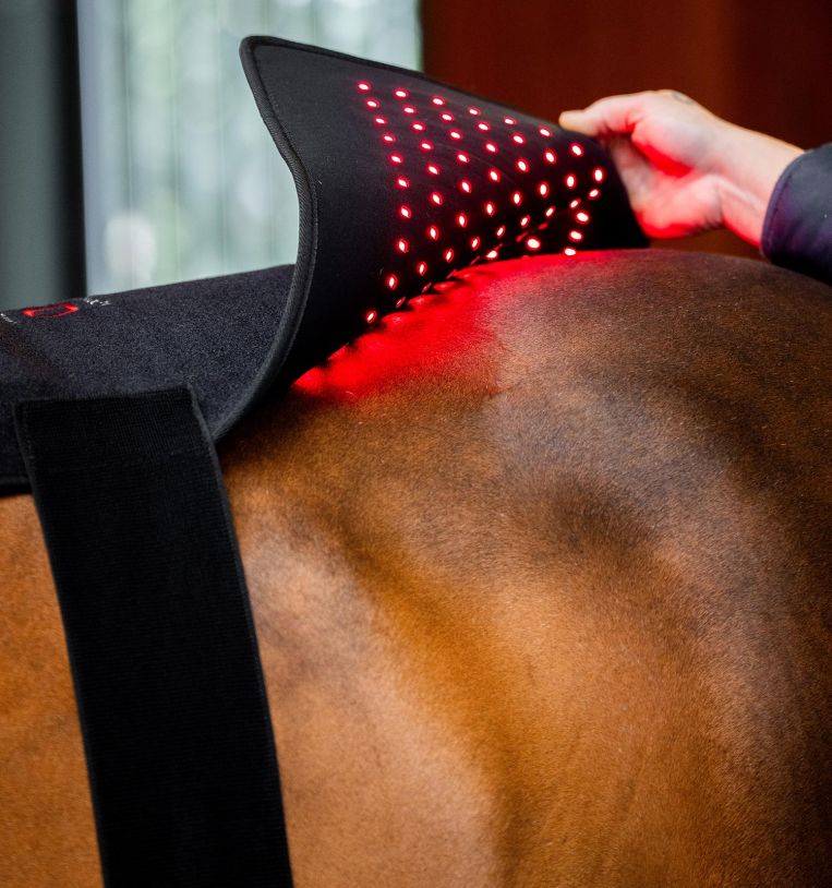 Horseware® LED Red Light Therapy Pad