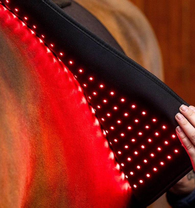 Horseware® LED Red Light Therapy Pad