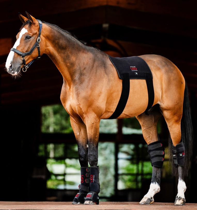 Horseware® LED Red Light Therapy Mini Wrap, one piece