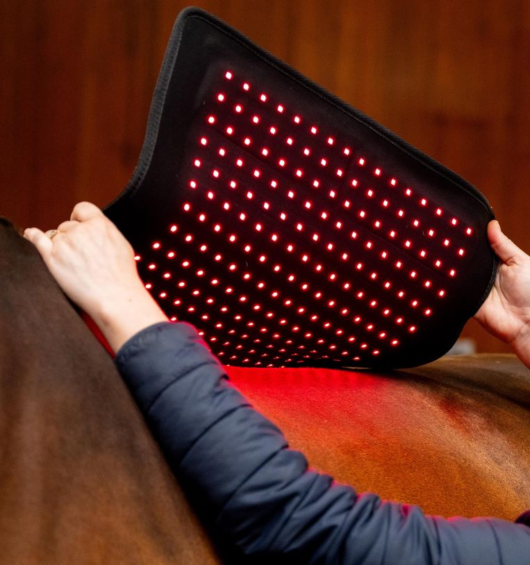 Horseware® LED Red Light Therapy Pad