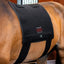 Horseware® LED Red Light Therapy Pad