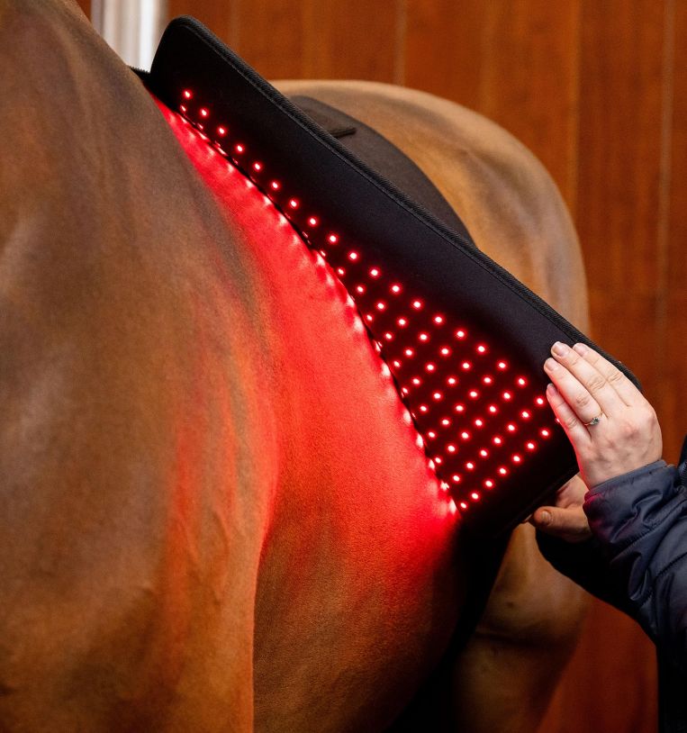 Horseware® LED Red Light Therapy Pad