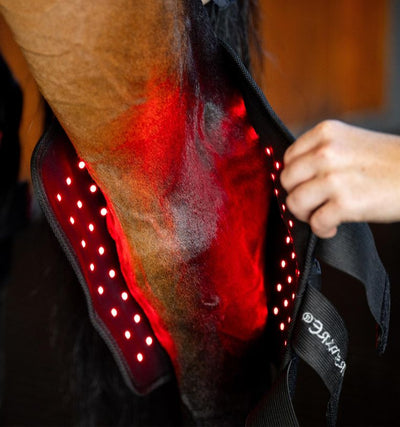 Horseware® LED Red Light Therapy Hock Boots, one leg