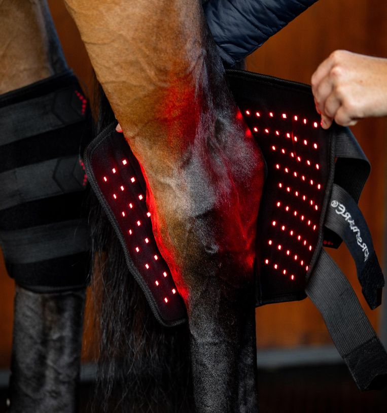 Horseware® LED Red Light Therapy Hock Boots, one leg