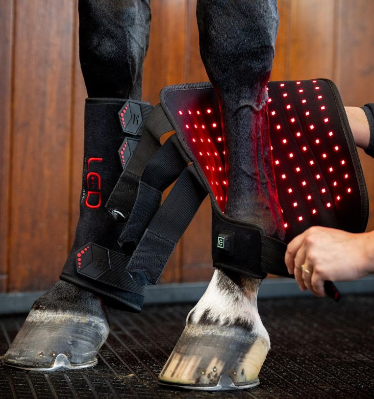 Horseware® LED Red Light Therapy Leg Wrap, one leg