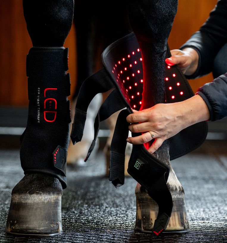 Horseware® LED Red Light Therapy Leg Wrap, one leg