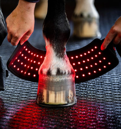 Horseware® LED Red Light Therapy Mini Wrap, one piece