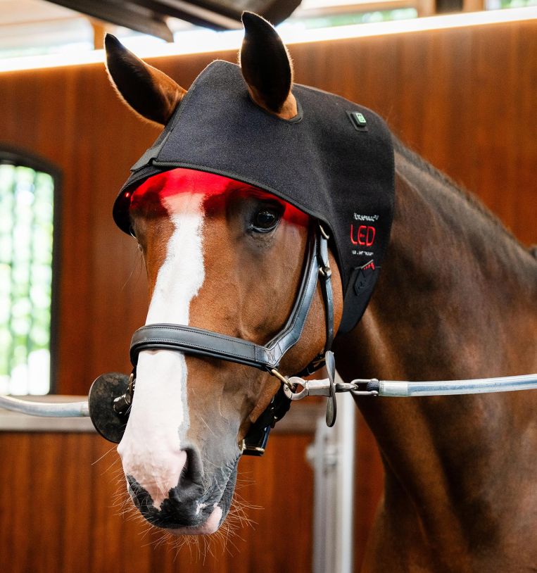 Horseware® LED Red Light Therapy Poll Cap