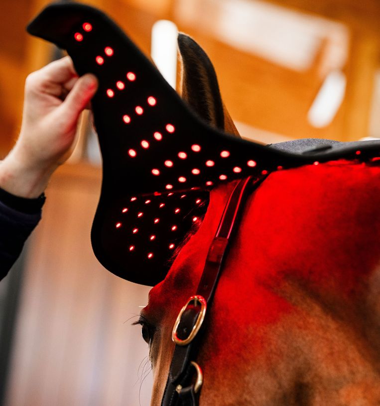 Horseware® LED Red Light Therapy Poll Cap