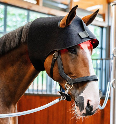 Horseware® LED Red Light Therapy Poll Cap