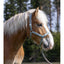 WAHLSTEN PADDOCK NYLON HALTER WITH PADDING, L.GREEN, XFULL
