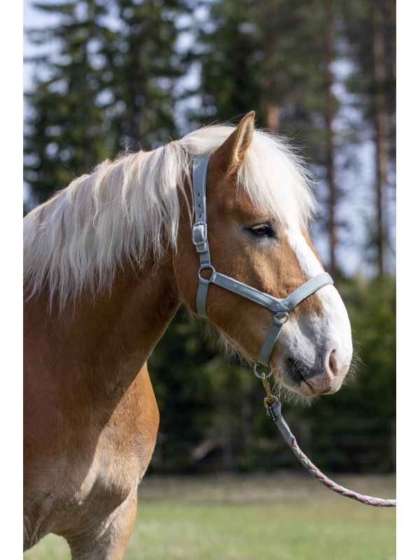 WAHLSTEN PADDOCK NYLON HALTER WITH PADDING, L.GREEN, XFULL