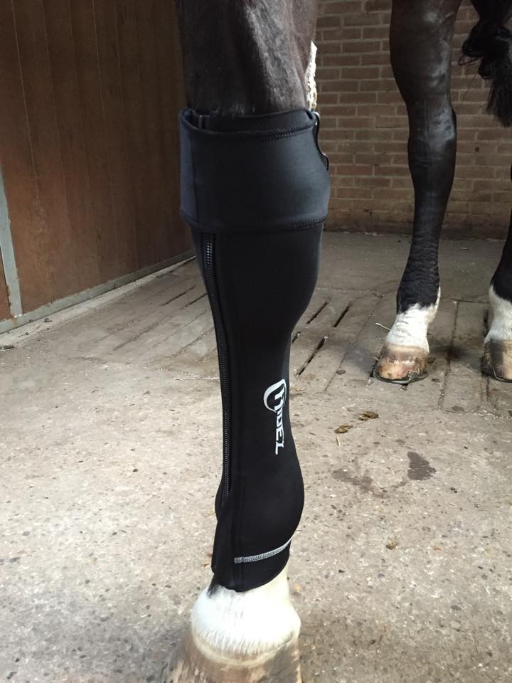 Horse hot sale compression boots