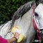 EVERYDAY CONDITIONING SHAMPOO - Three Horses SIA
