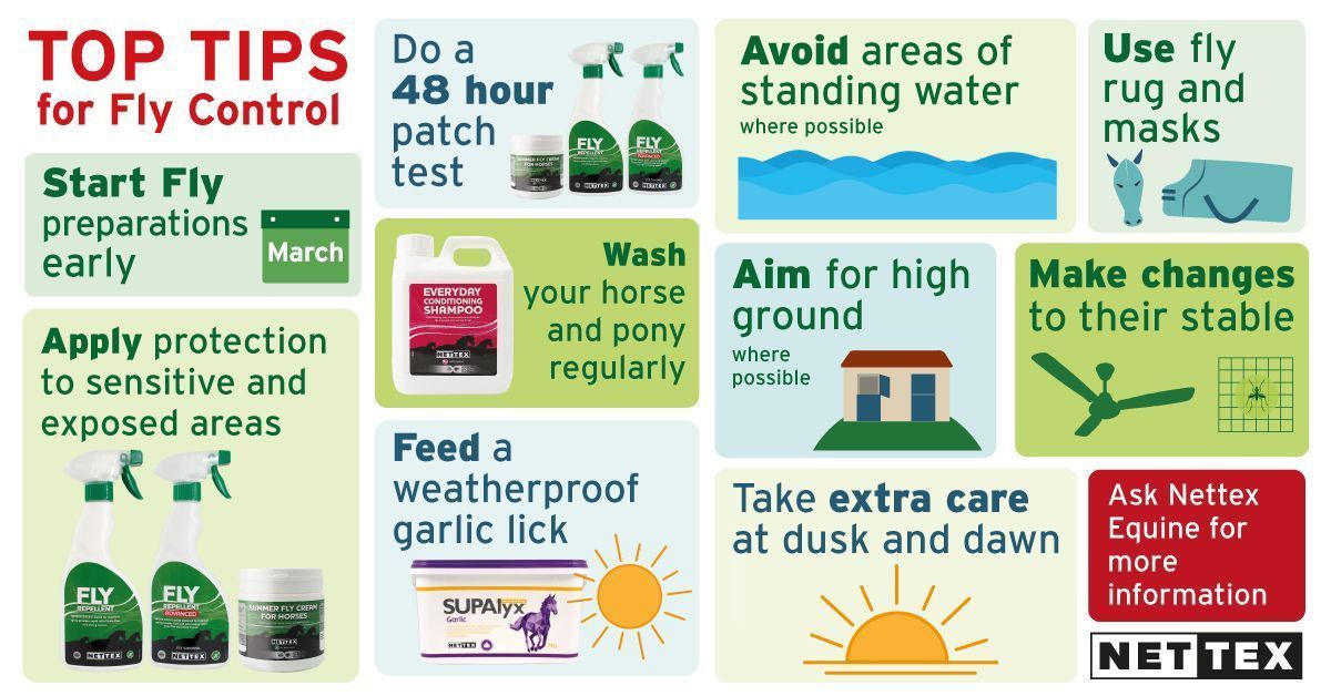 FLY REPELLENT ADVANCED - Three Horses SIA