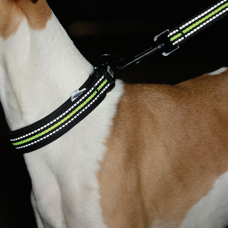 WEATHERBEETA REFLECTIVE DOG LEAD