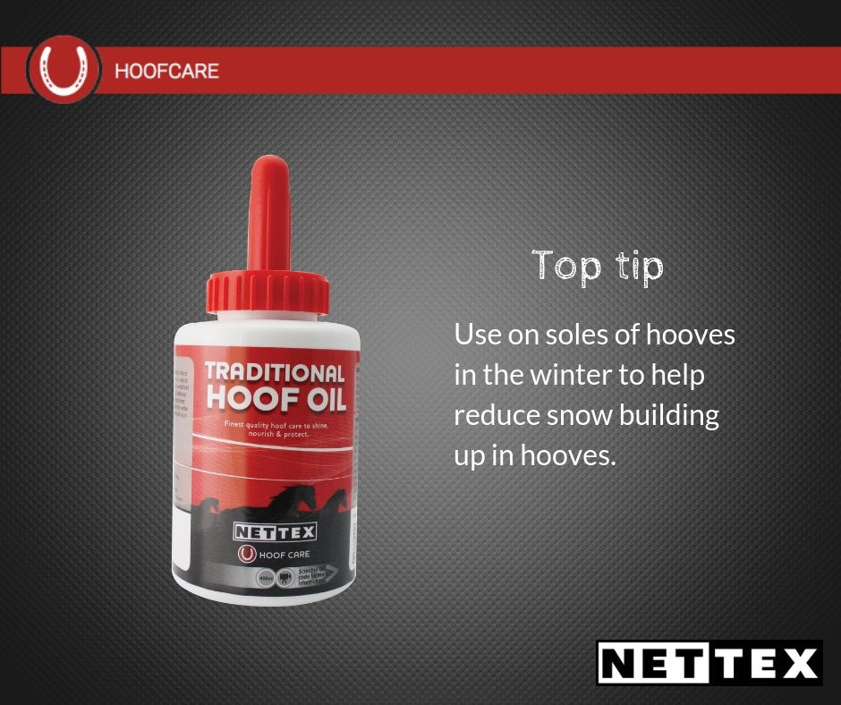 TRADITIONAL HOOF OIL - Three Horses SIA