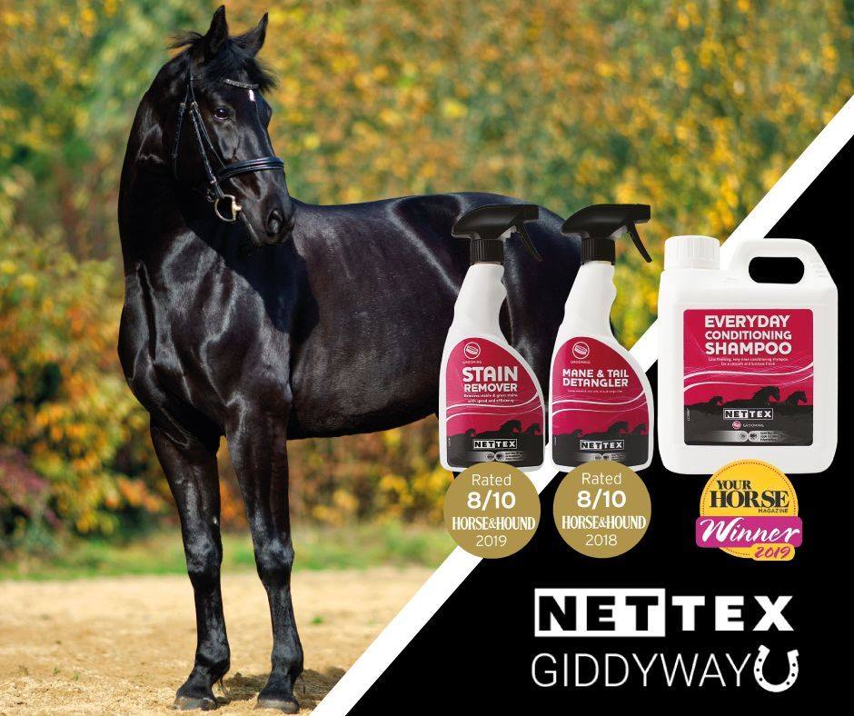 EVERYDAY CONDITIONING SHAMPOO - Three Horses SIA
