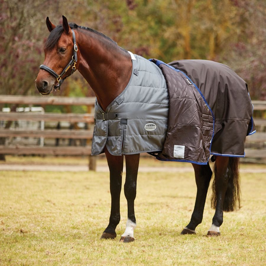 WEATHERBEETA COMFITEC LINER MEDIUM/LITE - Three Horses SIA