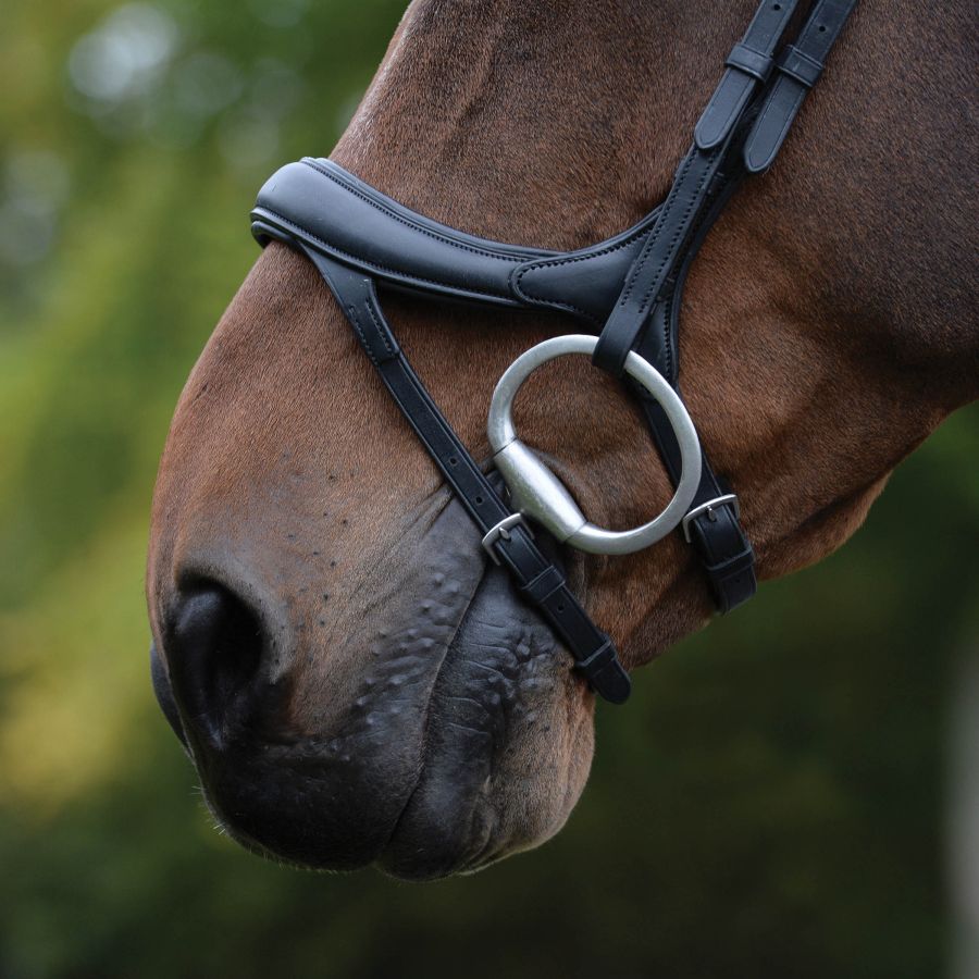 COLLEGIATE COMFITEC VOGUE ANATOMICAL BRIDLE – Three Horses SIA