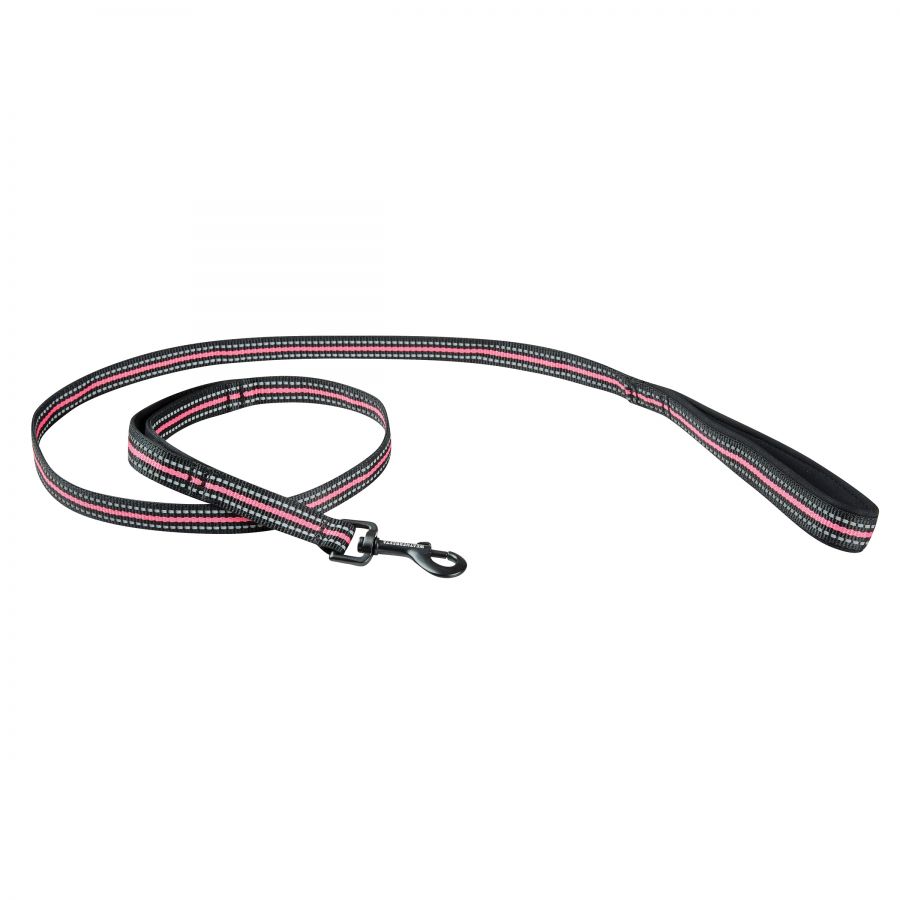 WEATHERBEETA REFLECTIVE DOG LEAD