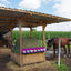 Plastic holder for salt blocks - Three Horses SIA